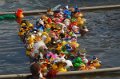 Maschsee13   656